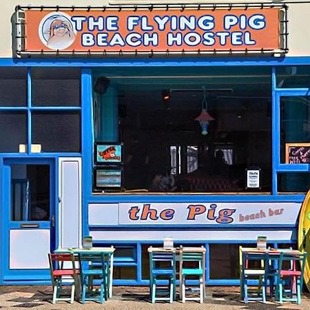 The Flying Pig Beach Hostel ノールトウェイク エクステリア 写真
