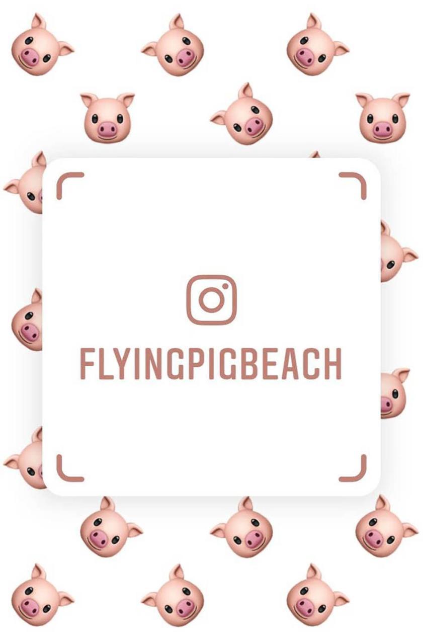 The Flying Pig Beach Hostel ノールトウェイク エクステリア 写真
